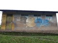 235 233 IMGP1877
